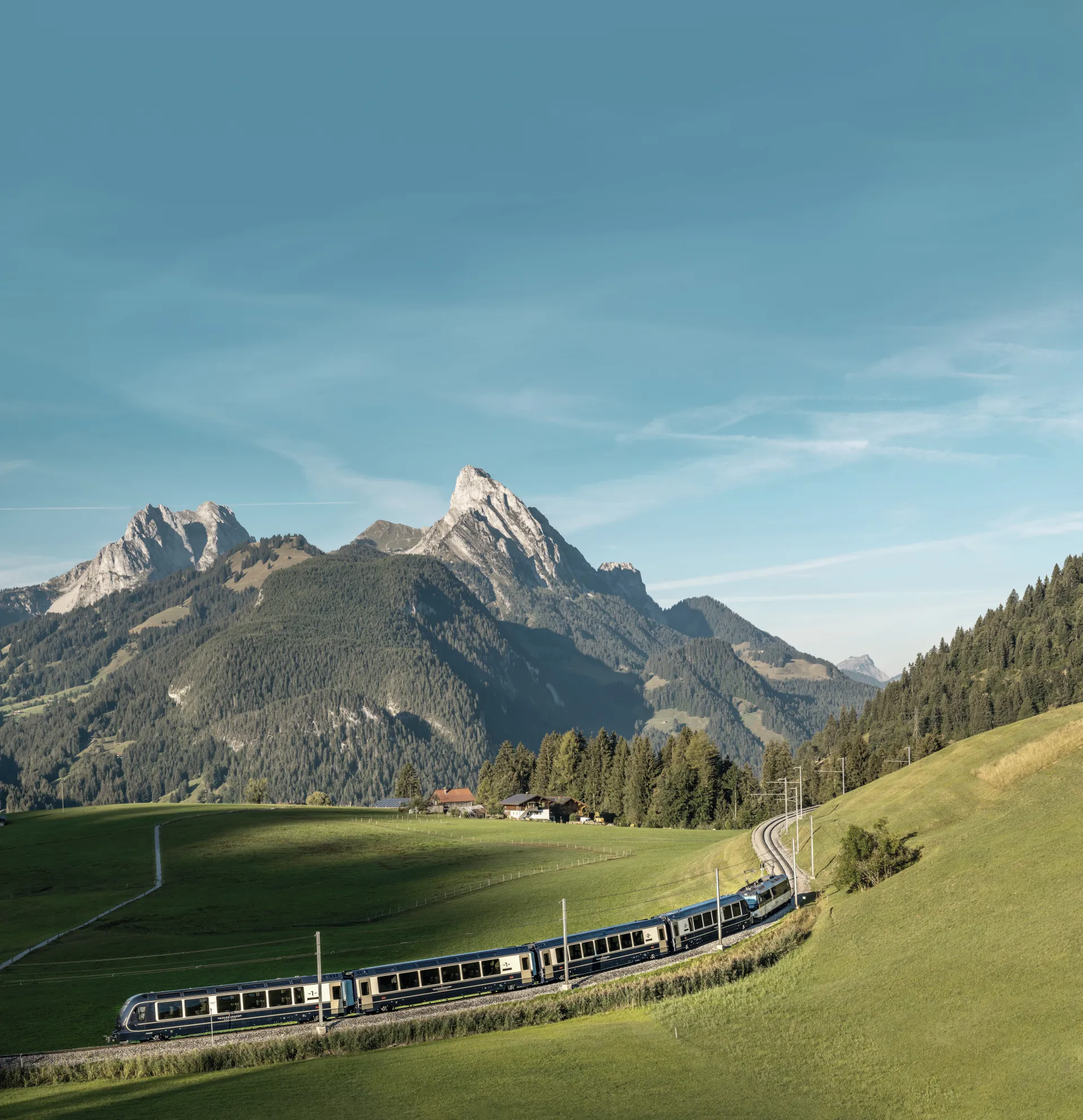Le GoldenPass Express traverse un paysage verdoyant, avec des montagnes et des collines boisées en arrière-plan.